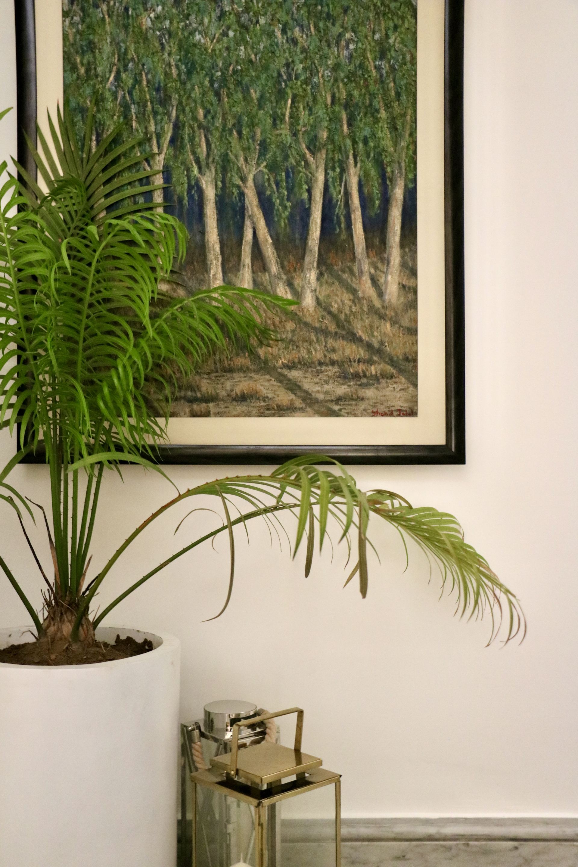 Potted palm beside a framed forest landscape painting