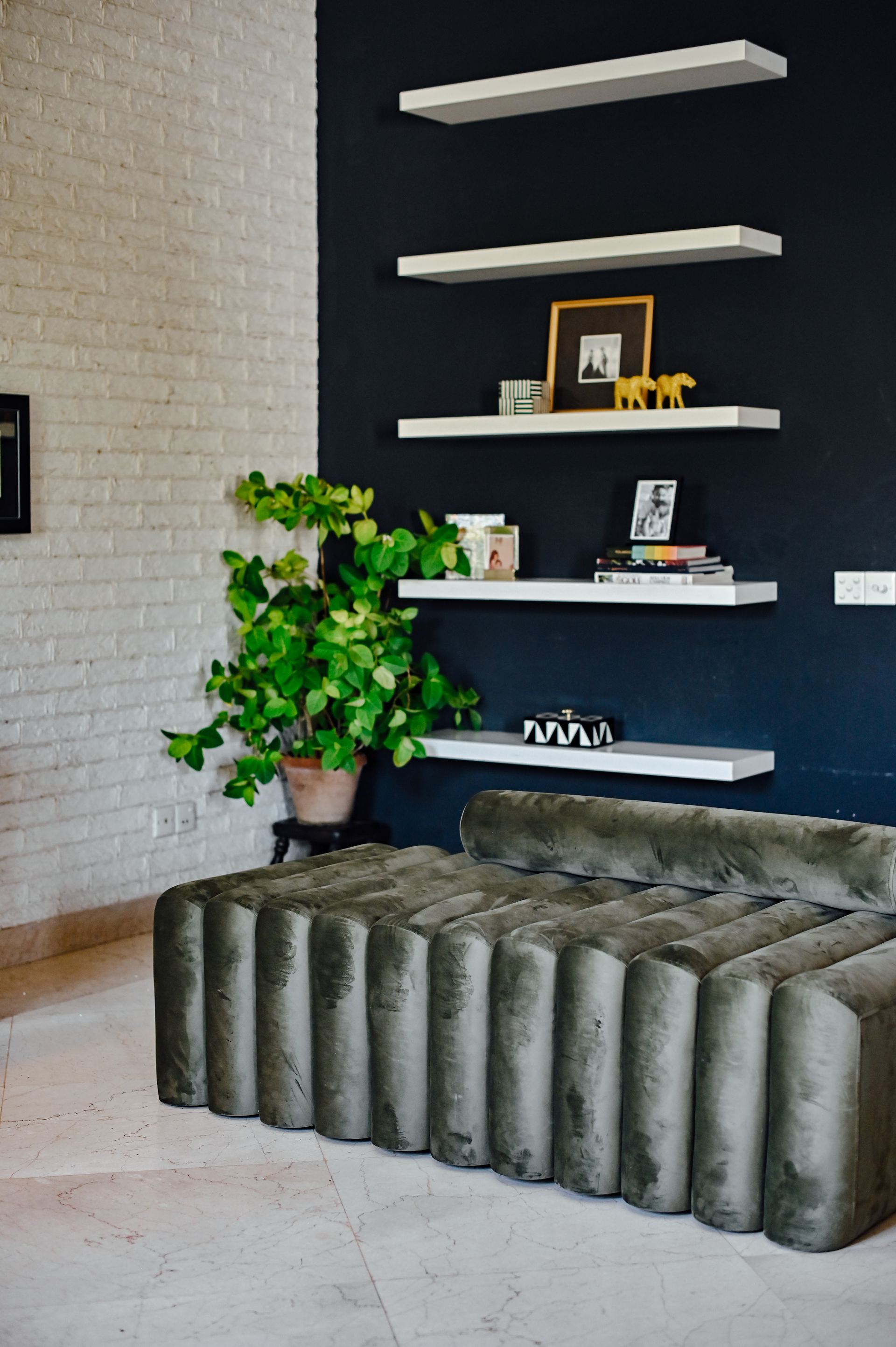 Channel-tufted olive velvet daybed beneath white floating shelves on a navy wall