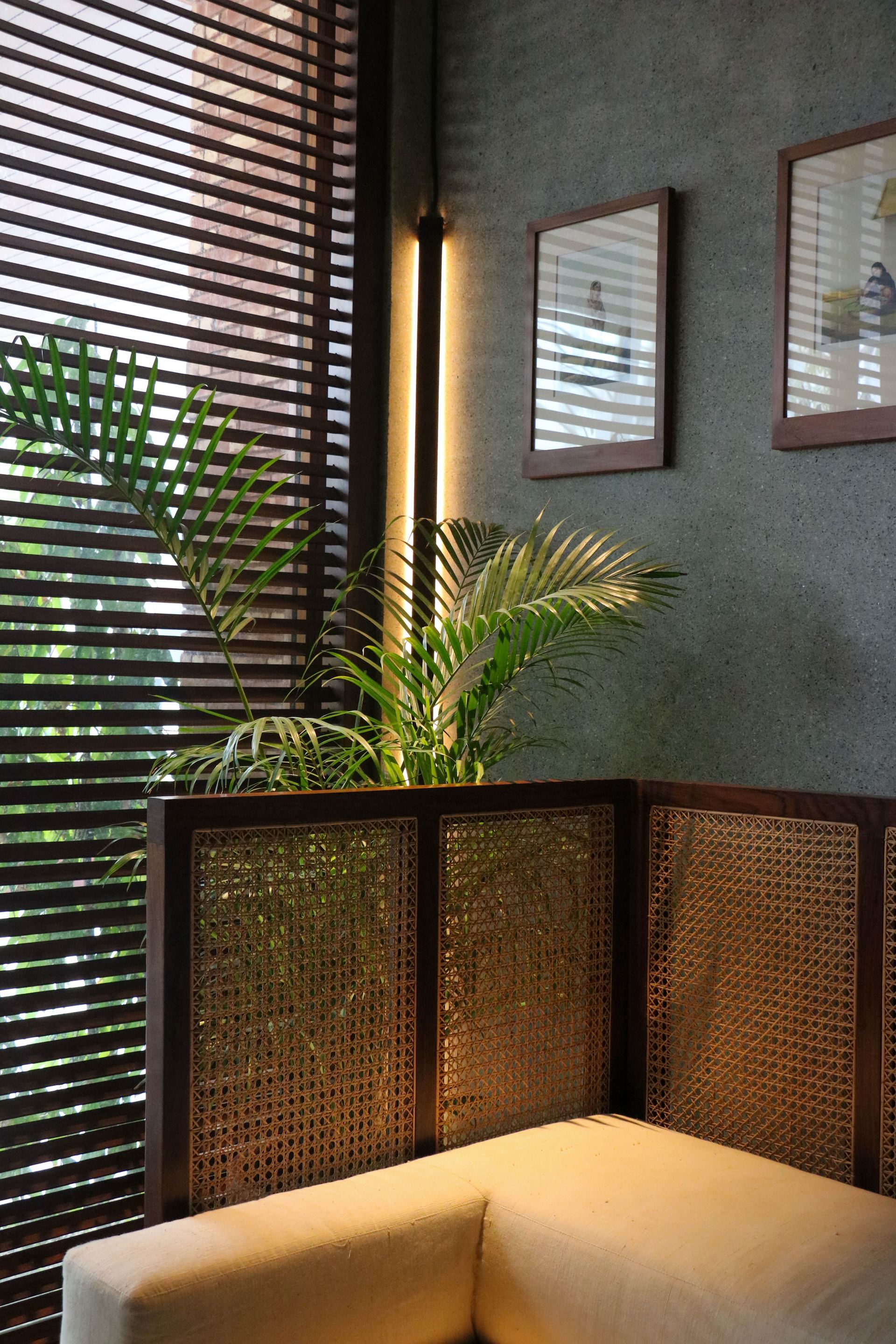 Palm fronds beside a rattan-panelled screen against a slatted teak blind