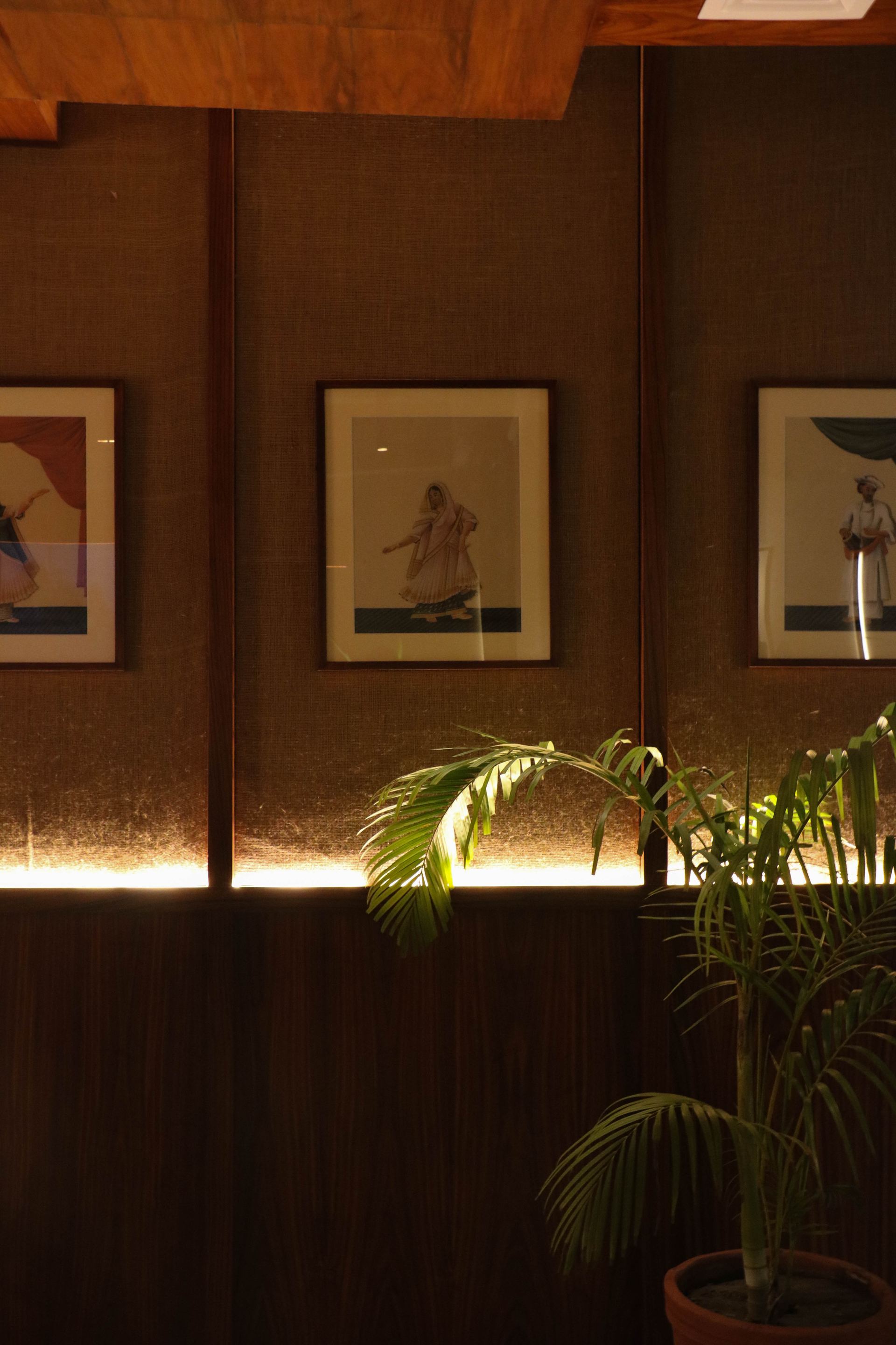Framed vintage portraits lit by a warm strip light above a potted palm