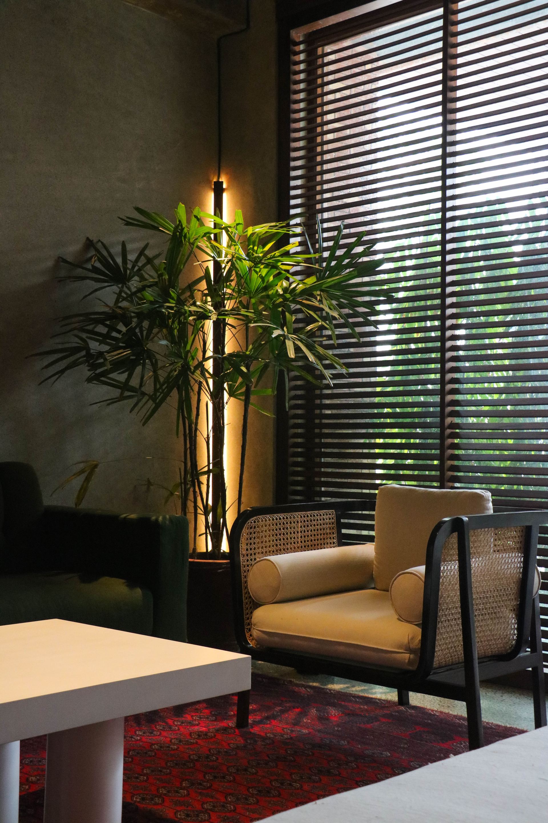 Rattan-backed lounge chair beside a potted palm and slatted timber blind