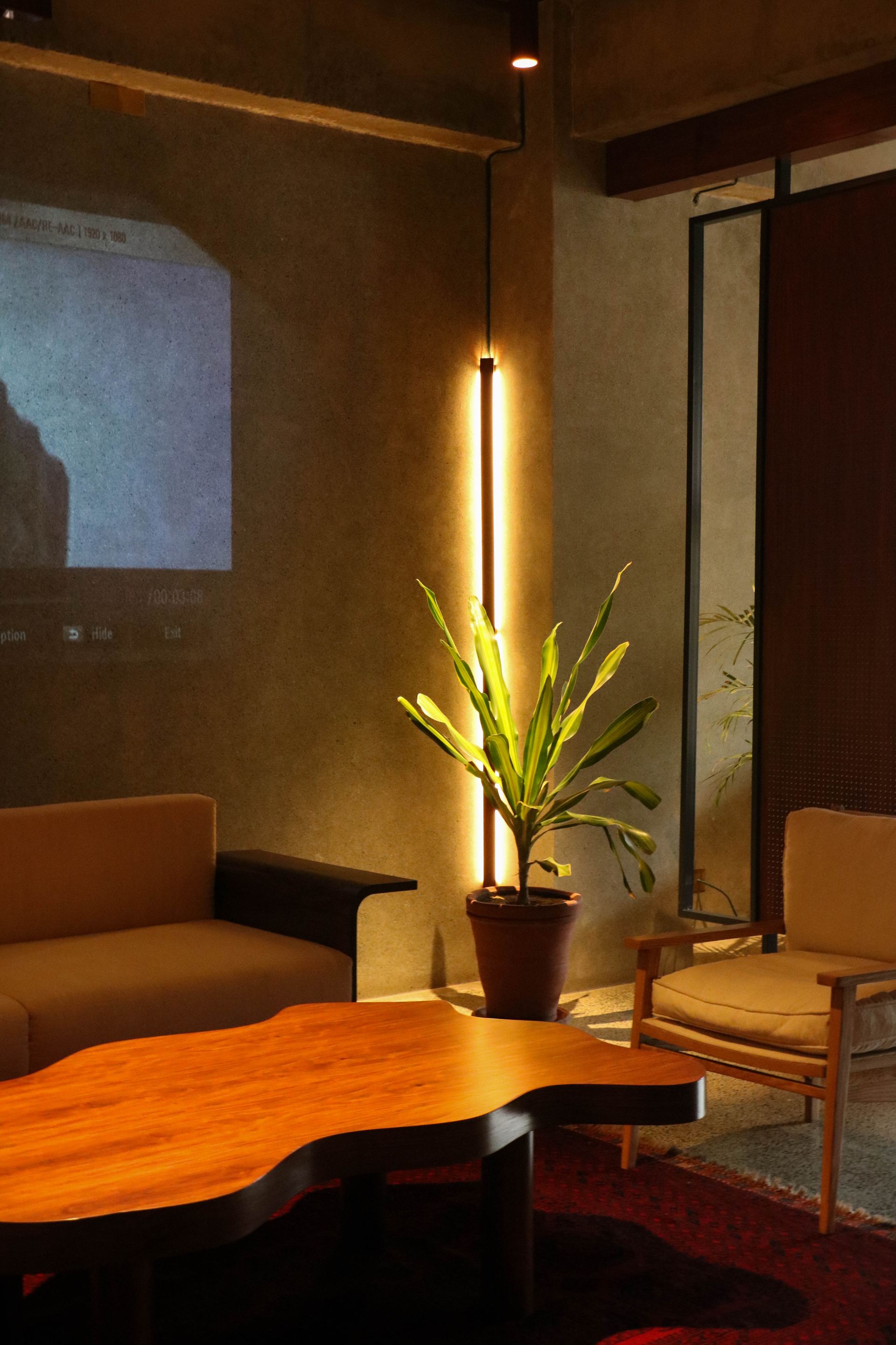 Live-edge coffee table with a potted plant beneath a vertical strip light